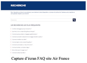 capture d'écran FAQ air france service client