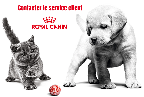 contact royal canin