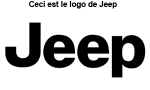 Service client Jeep
